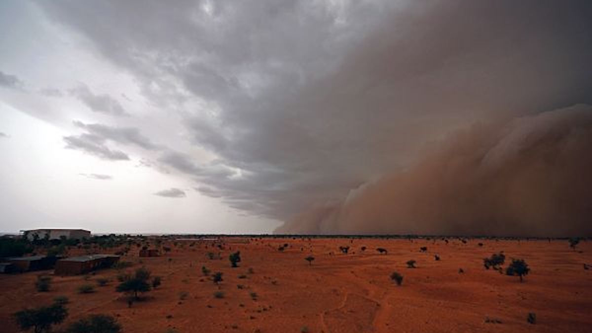 Arrivée de la pluie au Sahel, au début de la mousson. © IRD/ Thierry Lebel 